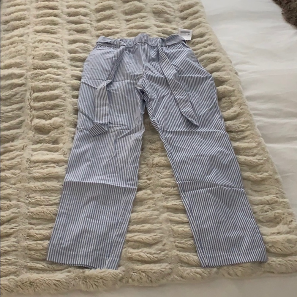 Zara Pin Stripe Pants